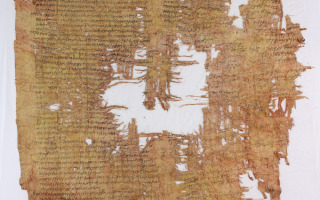Papyrus cotton
