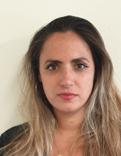 אור דוד
